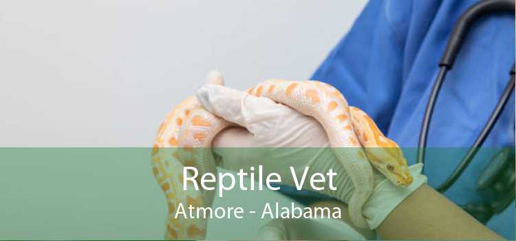 Reptile Vet Atmore - Alabama