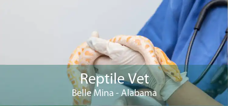 Reptile Vet Belle Mina - Alabama