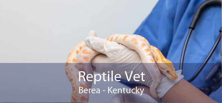 Reptile Vet Berea - Kentucky
