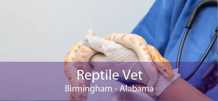 Reptile Vet Birmingham - Alabama