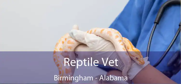 Reptile Vet Birmingham - Alabama