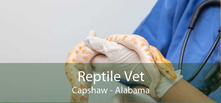 Reptile Vet Capshaw - Alabama