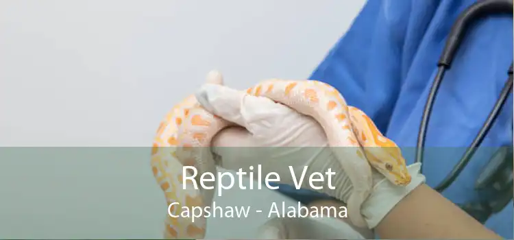 Reptile Vet Capshaw - Alabama