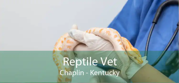 Reptile Vet Chaplin - Kentucky