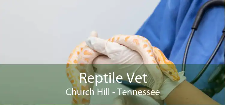 Reptile Vet Church Hill - Tennessee