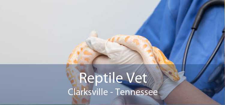 Reptile Vet Clarksville - Tennessee