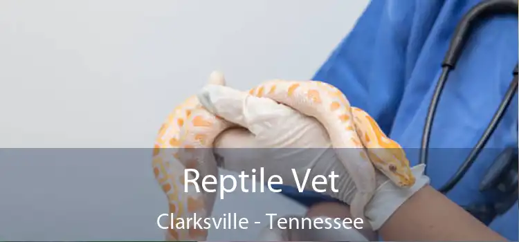 Reptile Vet Clarksville - Tennessee