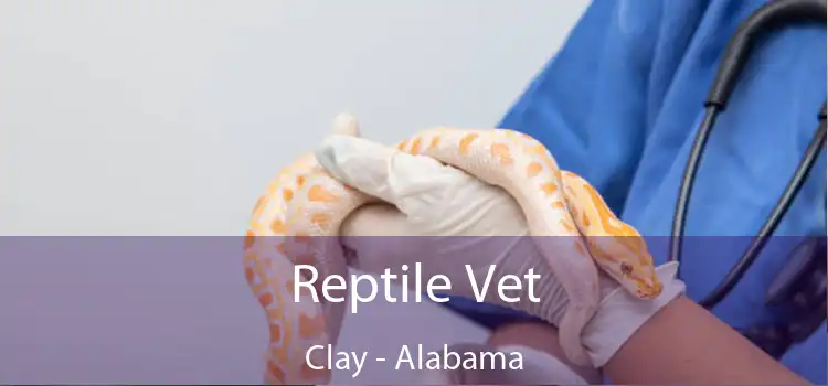 Reptile Vet Clay - Alabama