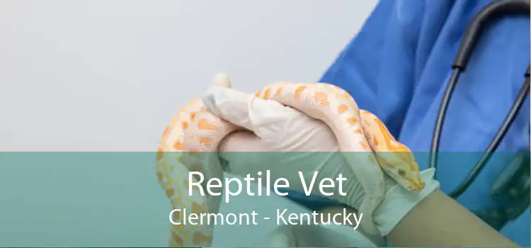 Reptile Vet Clermont - Kentucky