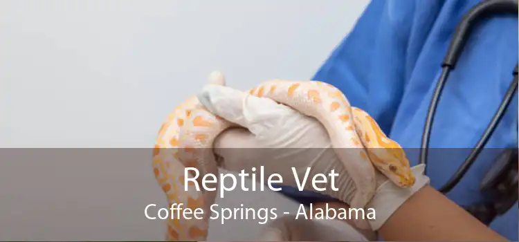 Reptile Vet Coffee Springs - Alabama