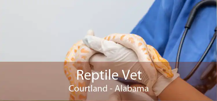 Reptile Vet Courtland - Alabama