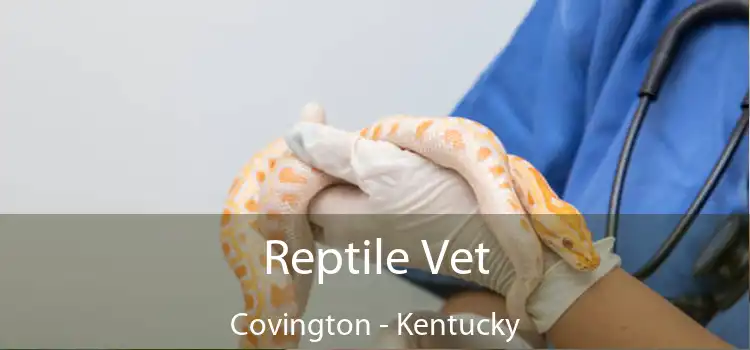 Reptile Vet Covington - Kentucky