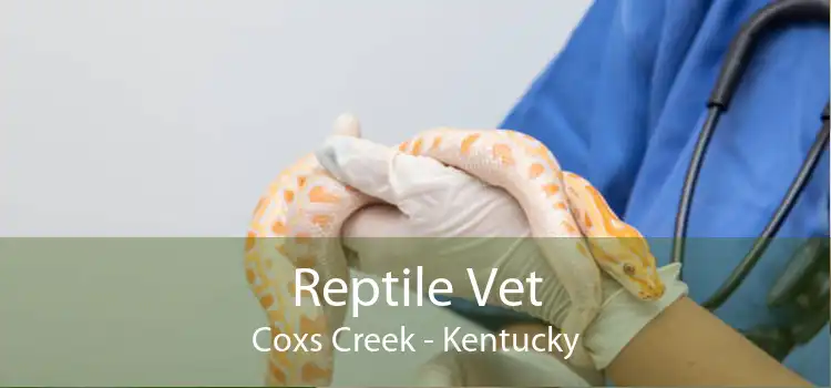Reptile Vet Coxs Creek - Kentucky