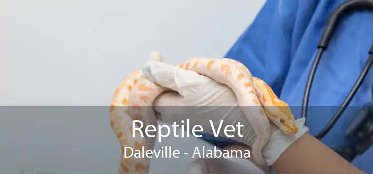 Reptile Vet Daleville - Alabama