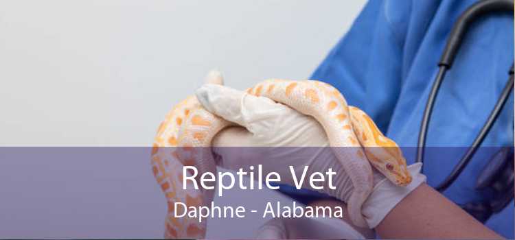 Reptile Vet Daphne - Alabama