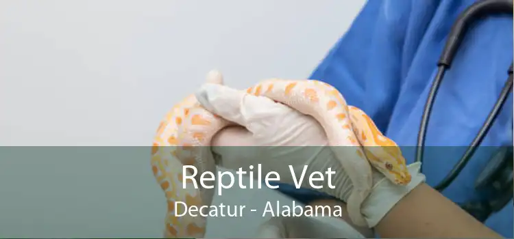 Reptile Vet Decatur - Alabama