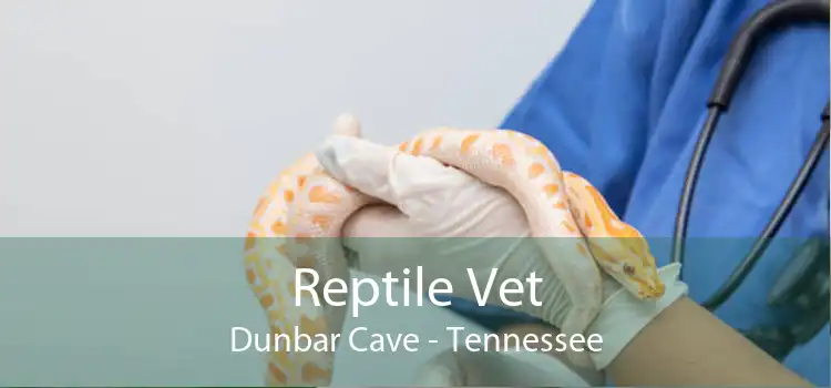 Reptile Vet Dunbar Cave - Tennessee