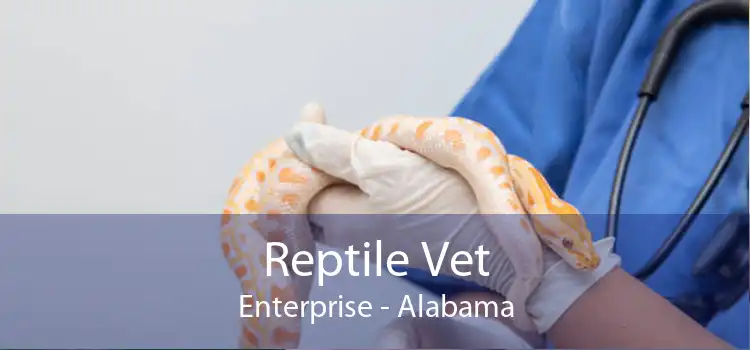 Reptile Vet Enterprise - Alabama