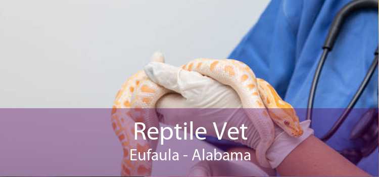 Reptile Vet Eufaula - Alabama