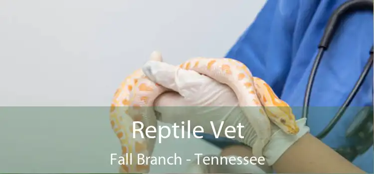Reptile Vet Fall Branch - Tennessee