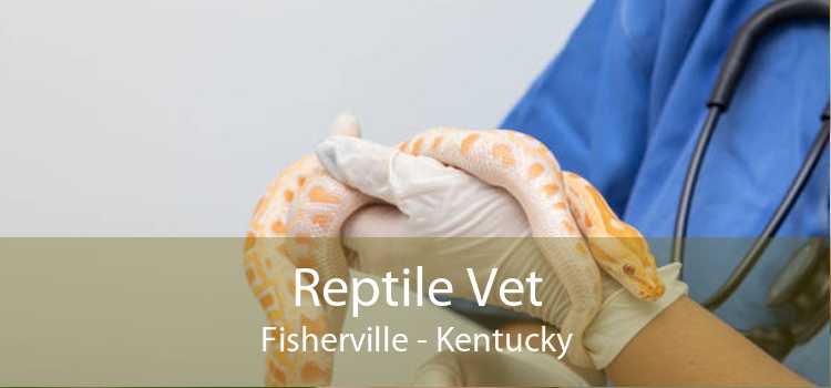 Reptile Vet Fisherville - Kentucky