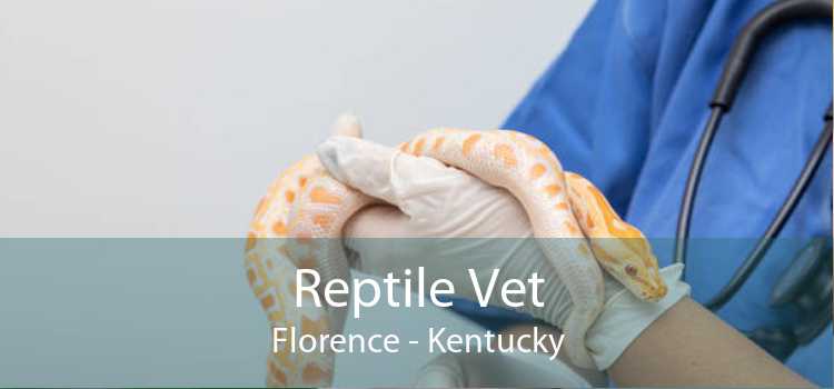 Reptile Vet Florence - Kentucky