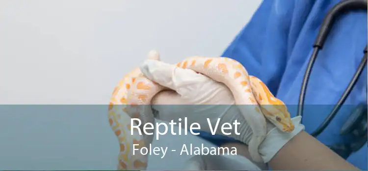 Reptile Vet Foley - Alabama