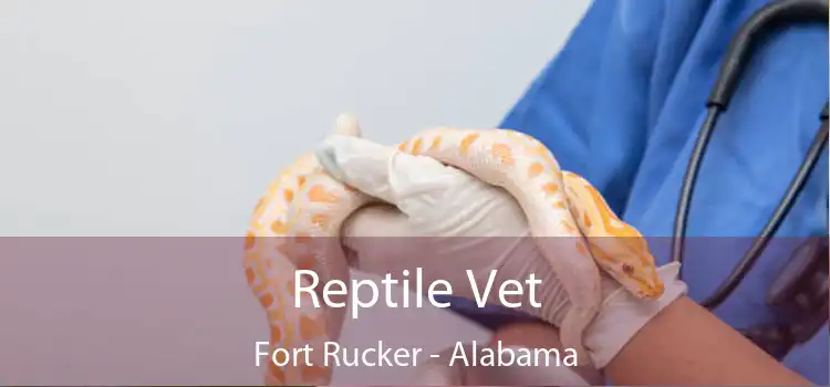 Reptile Vet Fort Rucker - Alabama