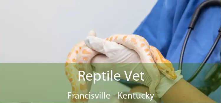 Reptile Vet Francisville - Kentucky