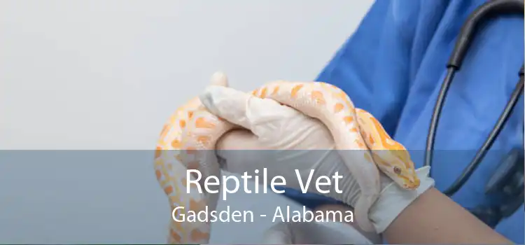 Reptile Vet Gadsden - Alabama