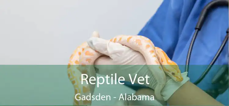 Reptile Vet Gadsden - Alabama