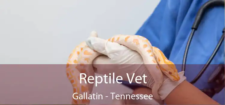 Reptile Vet Gallatin - Tennessee