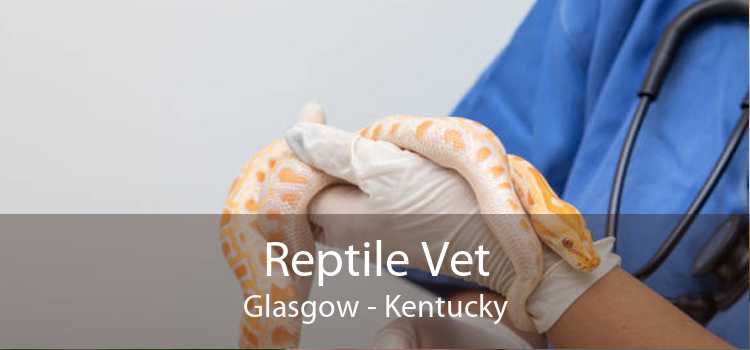 Reptile Vet Glasgow - Kentucky
