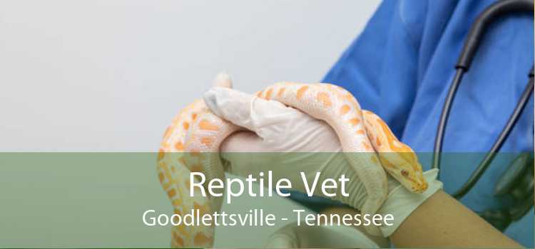 Reptile Vet Goodlettsville - Tennessee