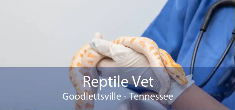 Reptile Vet Goodlettsville - Tennessee
