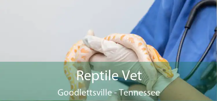 Reptile Vet Goodlettsville - Tennessee