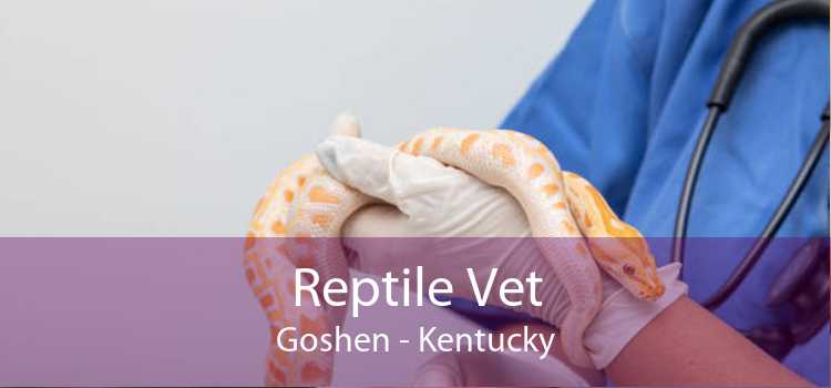 Reptile Vet Goshen - Kentucky