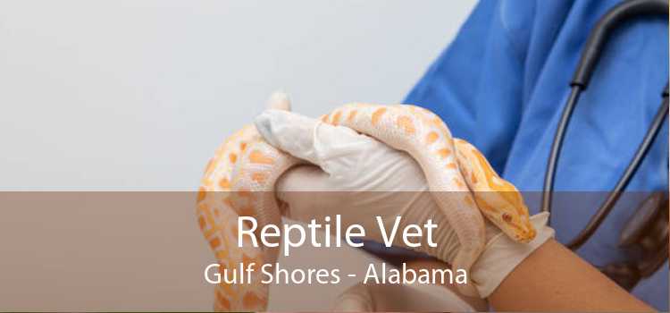 Reptile Vet Gulf Shores - Alabama