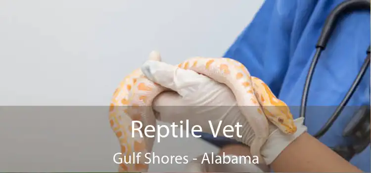 Reptile Vet Gulf Shores - Alabama