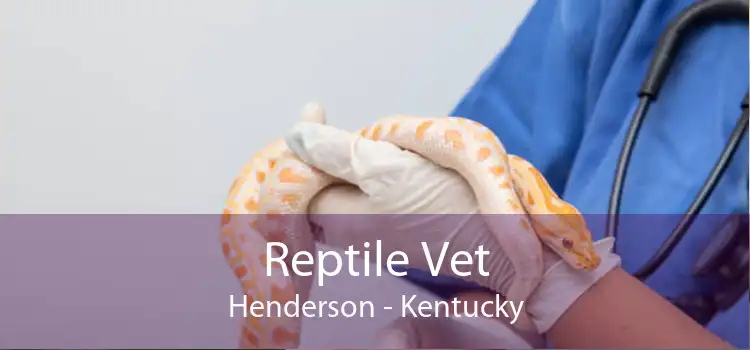 Reptile Vet Henderson - Kentucky