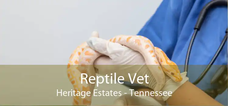 Reptile Vet Heritage Estates - Tennessee