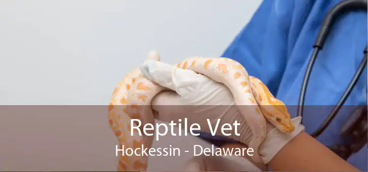 Reptile Vet Hockessin - Delaware