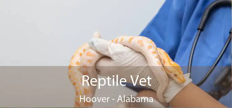Reptile Vet Hoover - Alabama