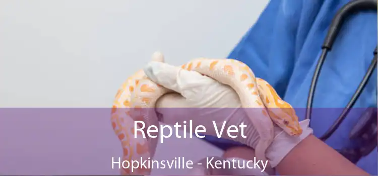 Reptile Vet Hopkinsville - Kentucky
