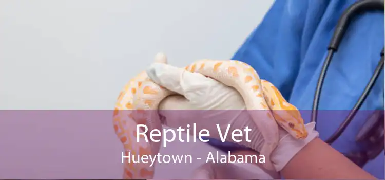 Reptile Vet Hueytown - Alabama