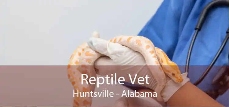 Reptile Vet Huntsville - 24 Hour Reptile Vet Near Me