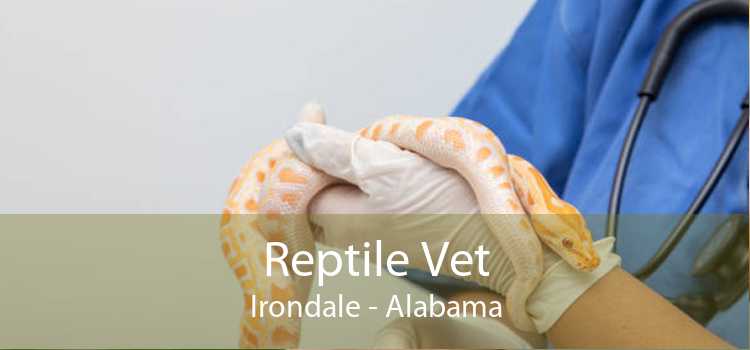 Reptile Vet Irondale - Alabama