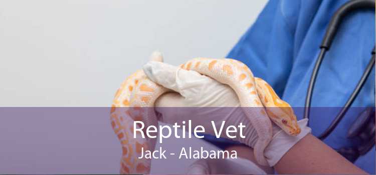 Reptile Vet Jack - Alabama