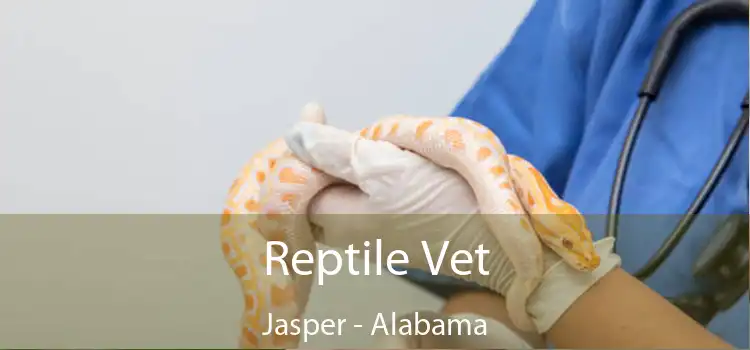 Reptile Vet Jasper - Alabama