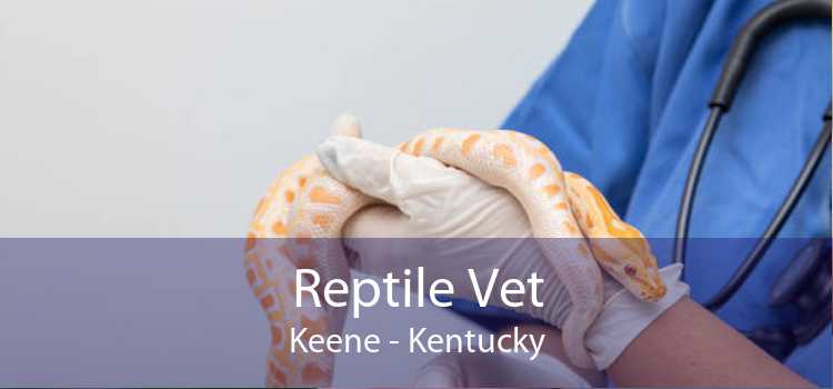 Reptile Vet Keene - Kentucky